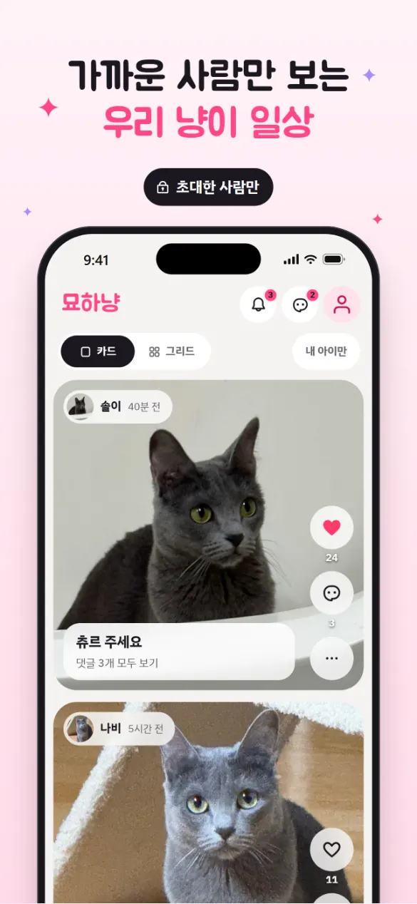 묘하냥 피드